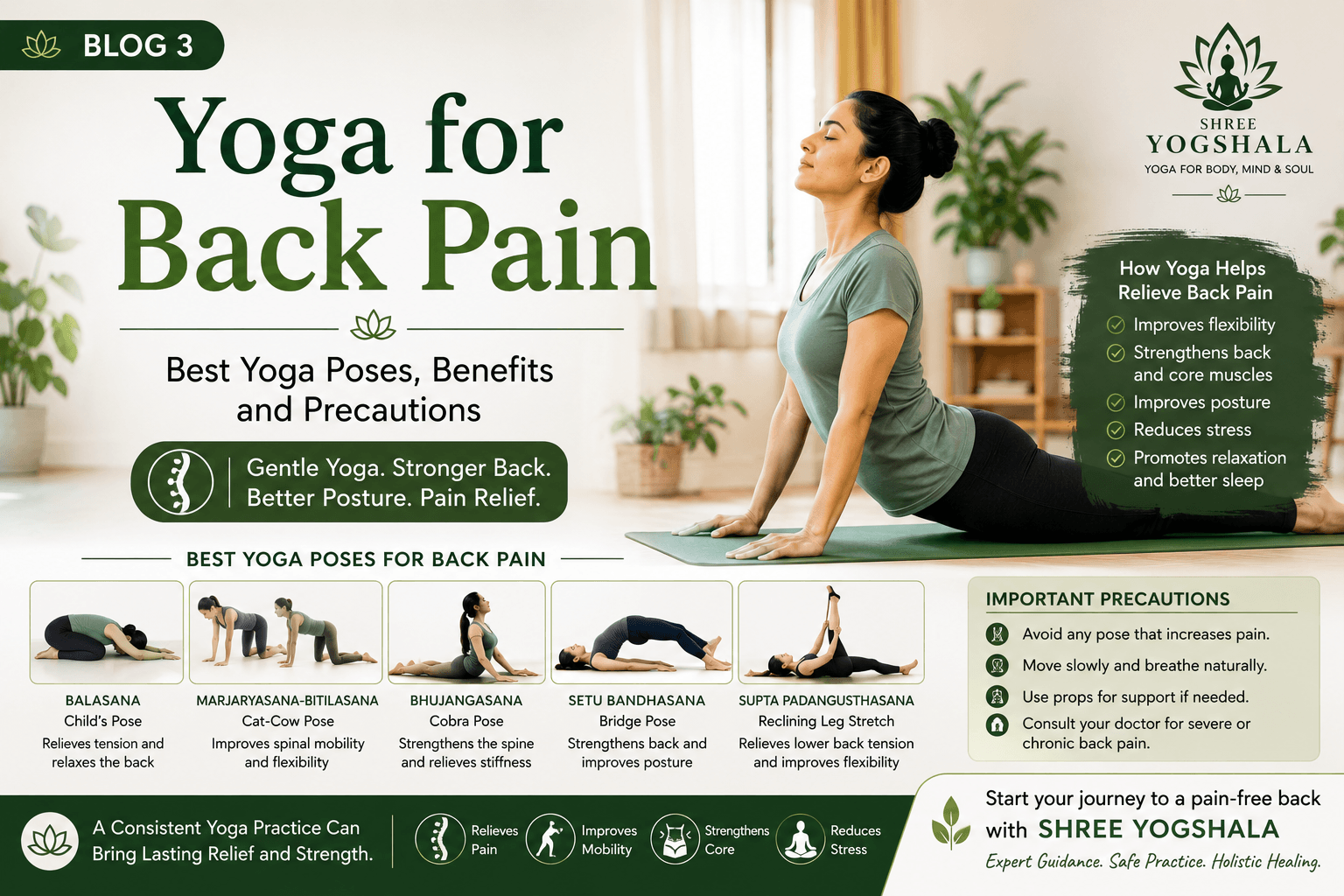 Yoga for Back Pain: Best Yoga Poses, Benefits and Precautions